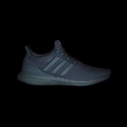 adidas Women's Ultraboost 1.0 Shoe